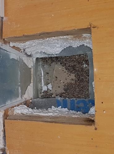Mikrobiell analys påvisar mikrobiella skador på plastfolie i GP2 (prov på plastfolie taget under träsyll).