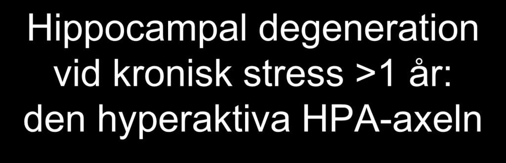 Hippocampal degeneration vid kronisk stress >1 år: den hyperaktiva HPA-axeln