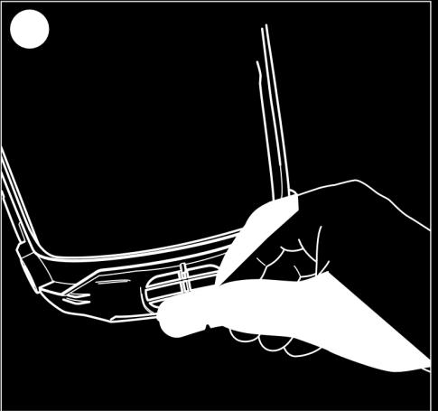 bort membranet. Fig. 23.