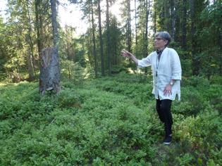 Från året som gått... Jag kan bara konstatera att mycket har vi hunnit med under året som gått. Vi drog igång året med en tur med strömstare i vackert vinterväder.