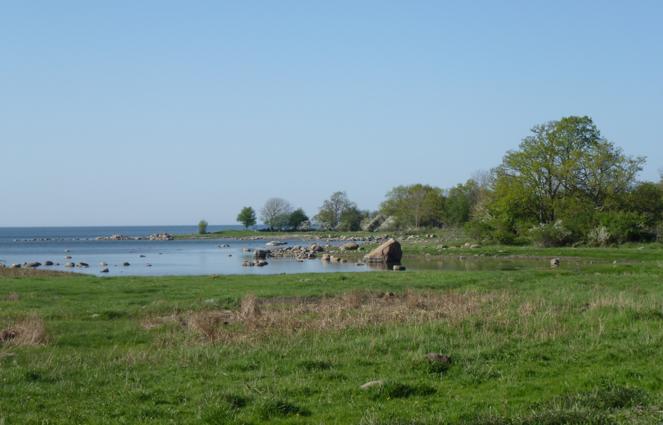 Havet utanför