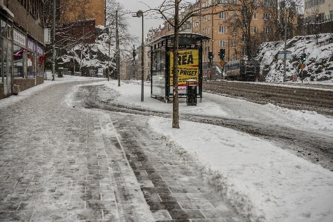 Grön kurva: fuktig barmark, lufttemp: +2,5 C, vägtemp: +0,5 C (Figur