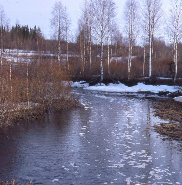 Ordföranden har ordet Den tredje lördagen i mars arrangerade vår forskarförening Släktforskningens dag med öppet hus på Nordkalottens kultur- och forskningscentrum i Övertorneå.