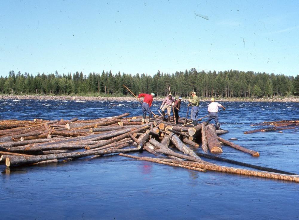4 Flottning Torne älv på 60-talet Foto från NKFC:s bildarkiv, Einar Tuohinens samling Utdrag ur Dagverkboks anteckningar Flotting i Torneälv 1932 Vega Kihlström Dagverksbok Korpikylä och Karungi.