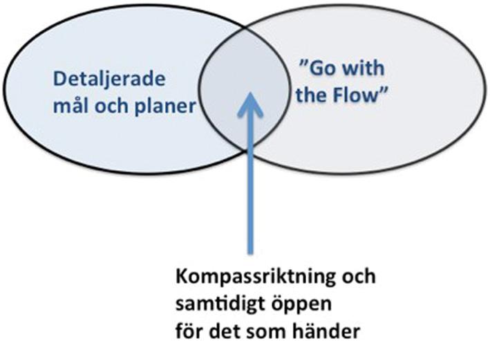 INTENTIoNER, ÖNSKNINGaR och mål Jag tror inte på någon av ytterligheterna, ha för många mål+detaljplaner eller släppa ratten helt.