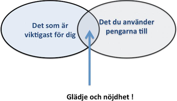 INLEdNING att använda pengars ENERGI Om du har mål och en plan är förankrad i dig och den du är så ökar alltså sannolikheten att du fattar bättre beslut och gör det du tänkt dig.