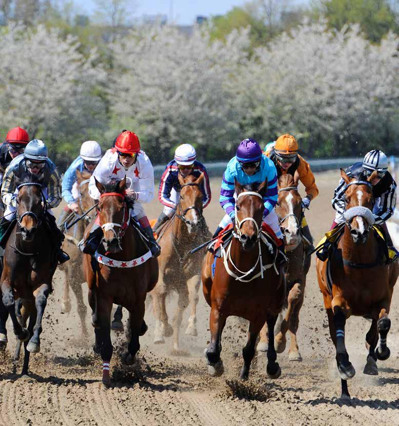 Dagens program 11.00 Grindarna öppnas 11.50 Kvallöpning 12.00 Tipsgenomgång från ledvolten 12.20 Lopp 1, V4-1 ROUSSICA MILE 12.42 Lopp 2, V4-2 BECKY MOSS FILLIES MILE 13.