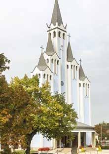 Om fotvård Från möte på Reumatologen den 1 september 2017 En enkät är gjord under förra året för att se behovet av remiss till fotvård, den är inte sammanställd ännu.