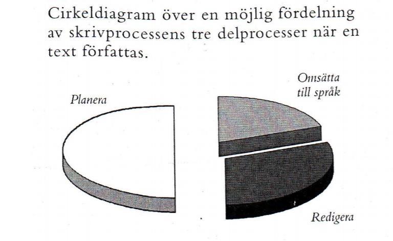 textbindning). Nivå fem i responstriangeln på global textnivå är innehållsrelaterad respons (utveckling av innehåll och idé) och genrerelaterad respons (genremedvetenhet, textmönster).