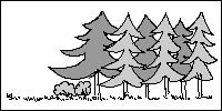 6 Buskbryn, buskar under skogsmantel Med bård av buskar eller småträdbuskbård tydligt under skogsmantelns