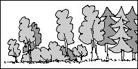8 Buskbryn, trappstegsformat Med bården av buskar eller småträd buskbården tydligt före skogsmantelns 