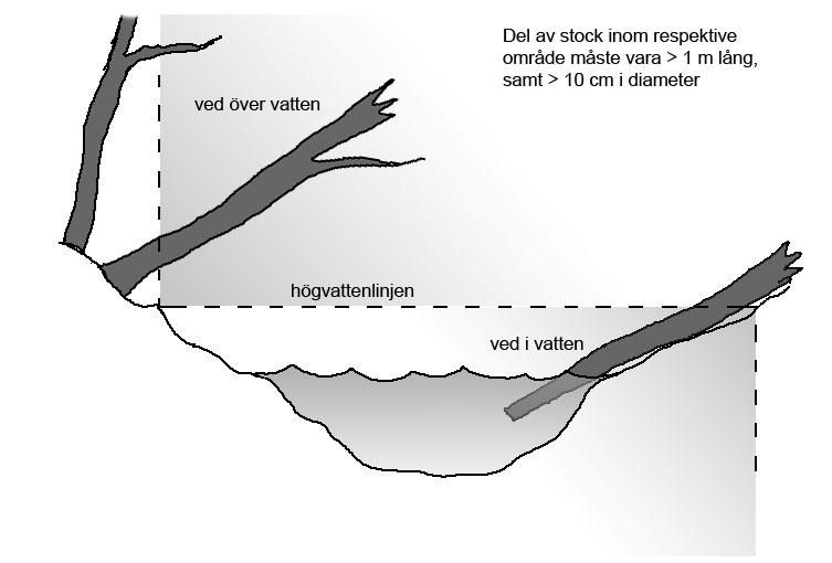 Kap 6.5. Dike/Vattendrag 172 Fig 6.7. Illustration över skillnaden mellan ved över vatten och ved i vatten.