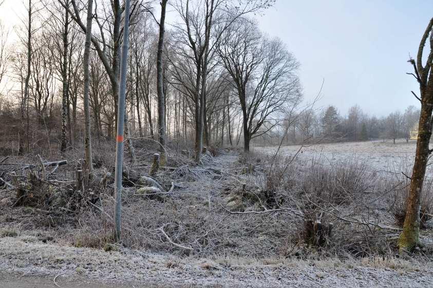 Delområde A Området är gallrat och ligger i infarten till området. I södra delen ligger en transformatorstation. Utmed åkern ligger en gammal bygata / väg.