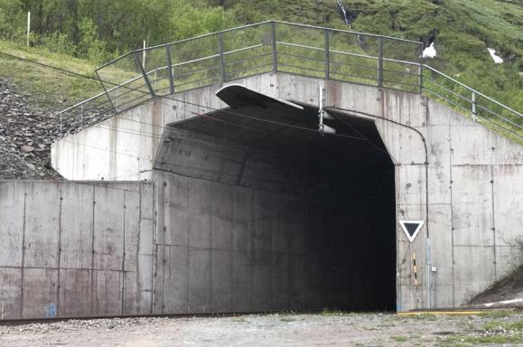 Den enda noterade nordsångare i år var vid Fulufjäll i Dalarna, i Abisko var det noll.