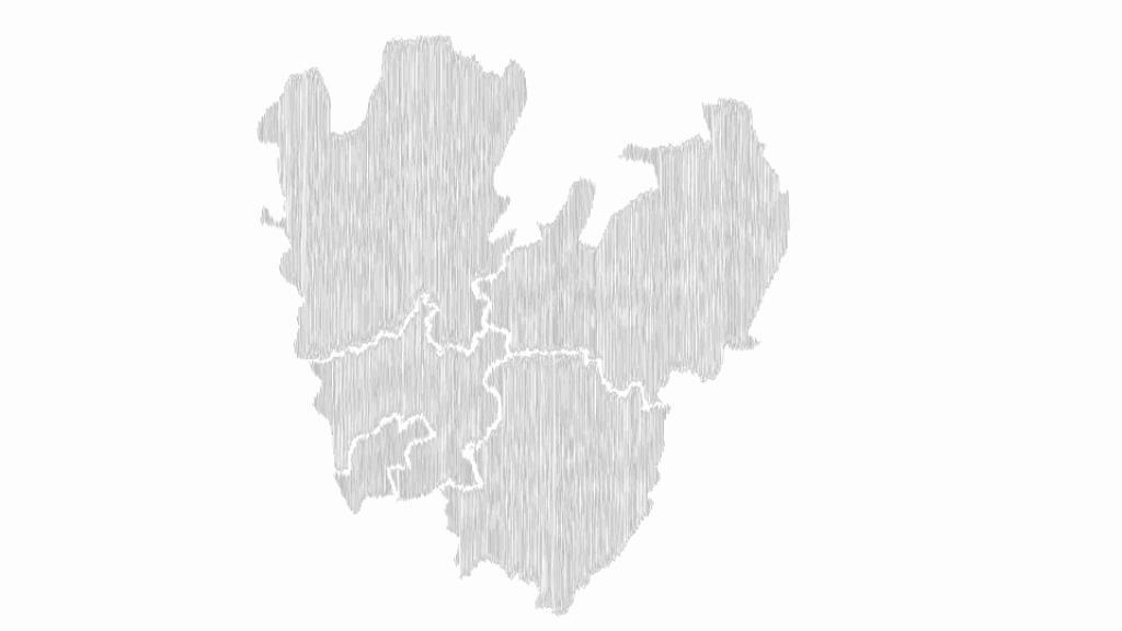 Struktur för samverkan
