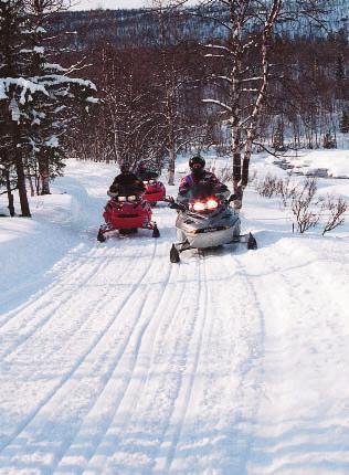 FAKTA OM SNÖSKOTER Ett