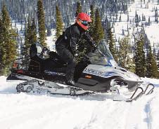 Arctic Cat Bearcat