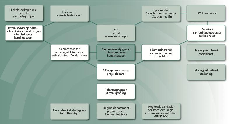 Bild 1. Översikt över organisation för den länsgemensamma satsningen.