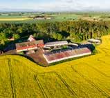 Halla gård På Halla gård utanför Kvänum i Västergötland föder Anders Gunnarsson upp svensk Rapsgris och odlar nästan allt foder på plats. Gården drivs av Anders, hans far och en anställd.