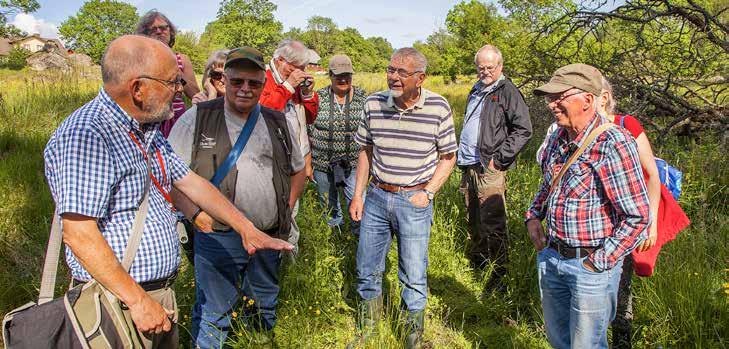 Temakvällar i Spindellokalen Antal 15/2 Tom Sjö. Ett år med naturen. 15 8/3 Sven-Inge Svensson. Miljöarbeten i Hässleholms kommun. 20 5/4 Ingvar Nord. Biodling. 13 12/9 Rovfåglar med Clas Malmström.