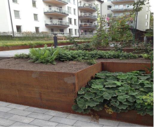 Den översta delen av biofiltret täcks vanligtvis med någon form av vegetation.