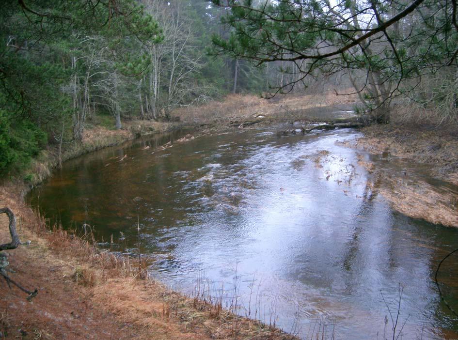 Vattenkemi i gotländska