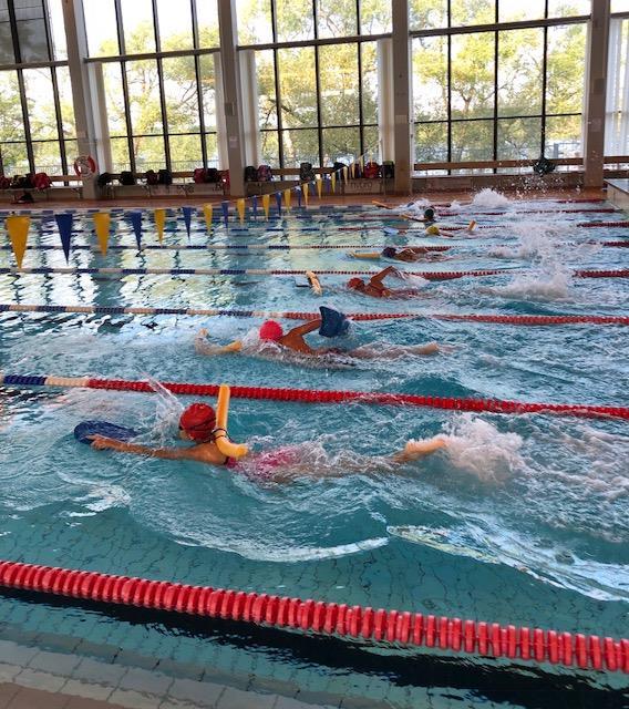 Metersimmet Tisdagen den 6 februari genomfördes VöSS metersim. 43 simmare deltog.