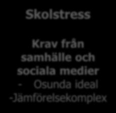 Skolstress Krav från samhälle och