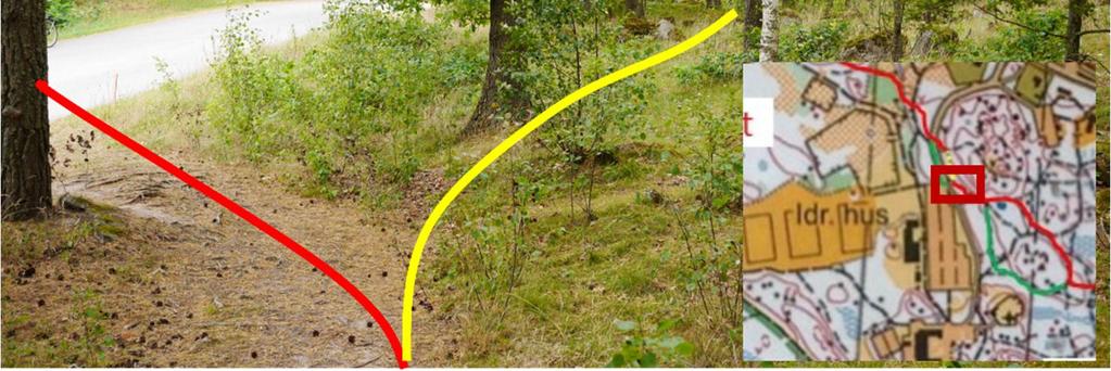 Blir dessutom en lite längre väg jämfört med sträcka 13. Lätt sträcka.