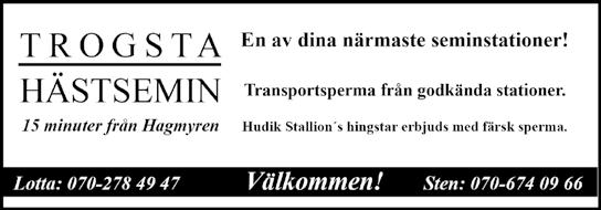 Travskolan! Påsklov på Travskolan! Onsdag / Dagläger kl.