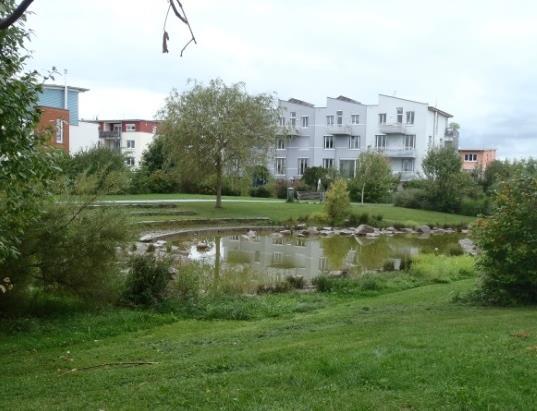 Reningsmekanismerna bygger på sedimentering, växtupptag och nedbrytning med hjälp av bakterier
