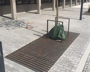 Växtbäddar kan utformas på många olika sätt och variera i storlek.