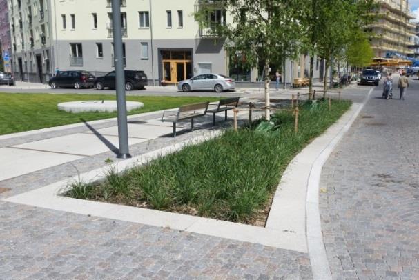 På större ytor som torg eller gårdar kan man ha betydligt större växtbäddar med en mer varierande växtsammansättning (Figur
