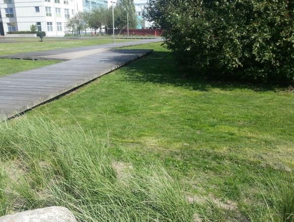avrinningen avtar.