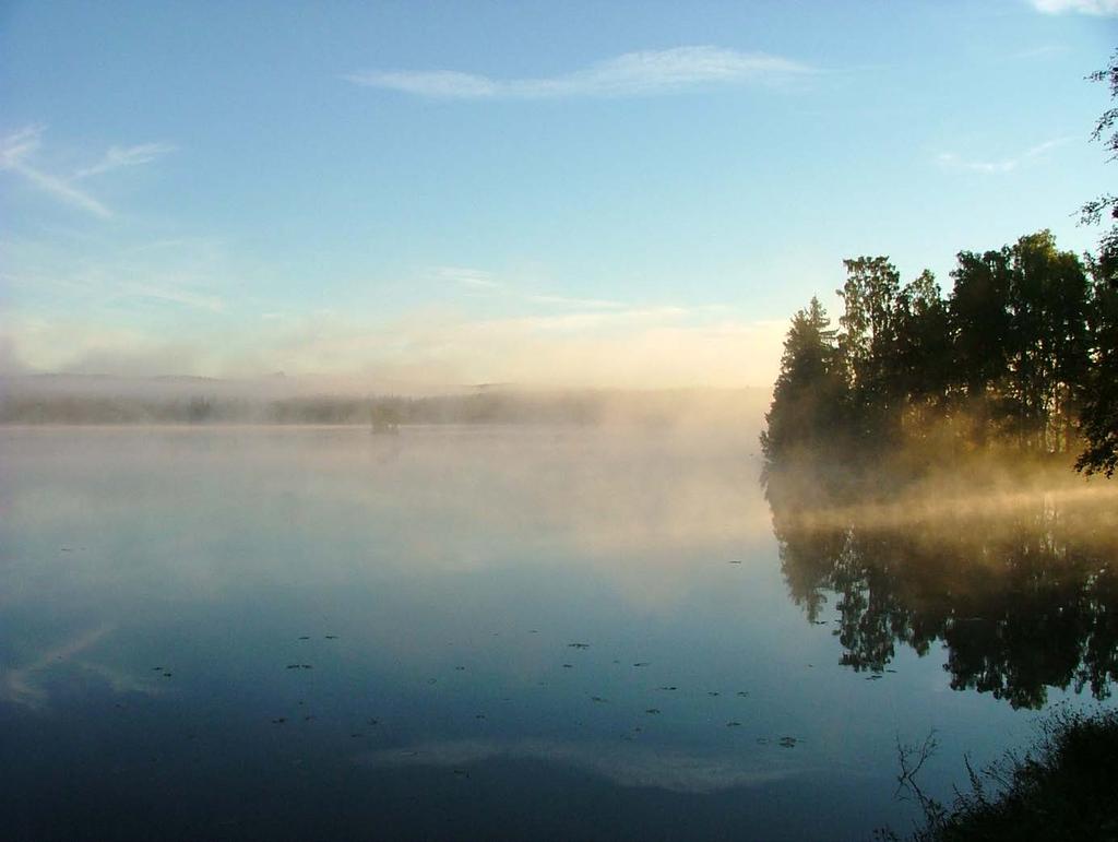 Arvoden och ersättningar till förtroendevalda i Säters kommun Antagen av kommunfullmäktige