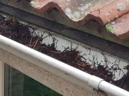Hängrännor Hängrännor är fulla med skräp. Eftersom hängrännor är fulla med skräp finns risk för fuktskador på fasad och sockel då vatten kan svämma över. Hängrännor lutar fel.