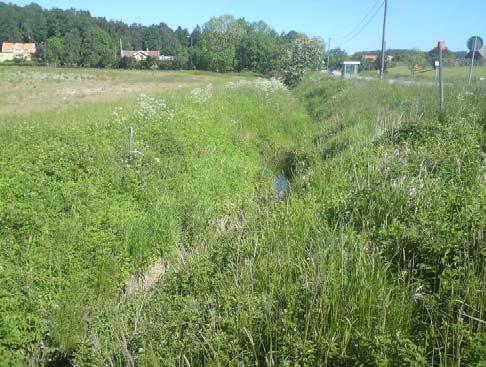 Äldre utredningar kring diket påpekar kapacitetsbrist uppströms som idag är åtgärdat och kulverterat. I dagsläget fungerar diket bra men man bör inte öka tillförseln av dagvatten.