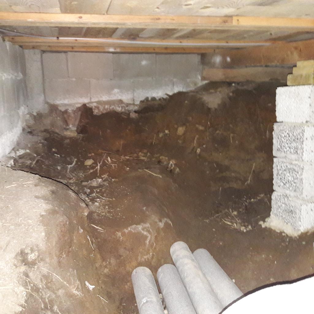 Stuprör Vind Mikrobiell påväxt noteras lokalt på underlagstaket. Detta kan troligtvis knytas till innan den mekaniska frånluftsventilationen installerades 2014.