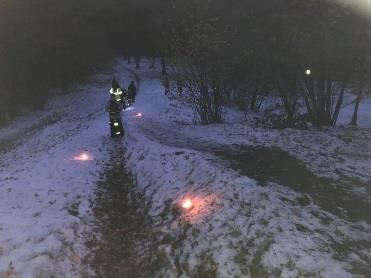 lokalavdelningar deltog som ledare på turer.