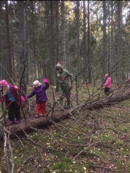 Mulle(Barn 5-7 år) Under året har mullebarnen hållit till mestadels i