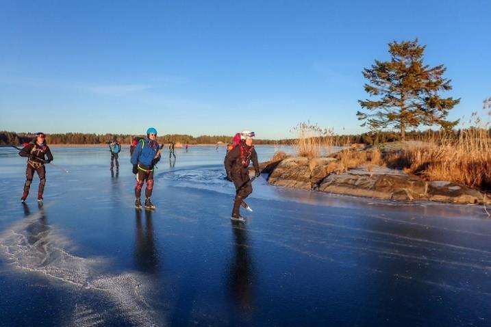 Vuxenverksamhet Långfärdsskridskor Vintersäsongen 2018-2019 har det genomförts tre nybörjarkurser/säkerhetskurser och ett antal ledarledda turer.