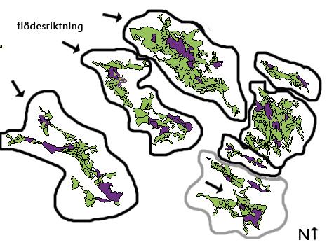 8 dock behöva öka antalet rikkärr som ingår i undersökningen för att få en undersökning som kan anses representativ för länets rikkärr.