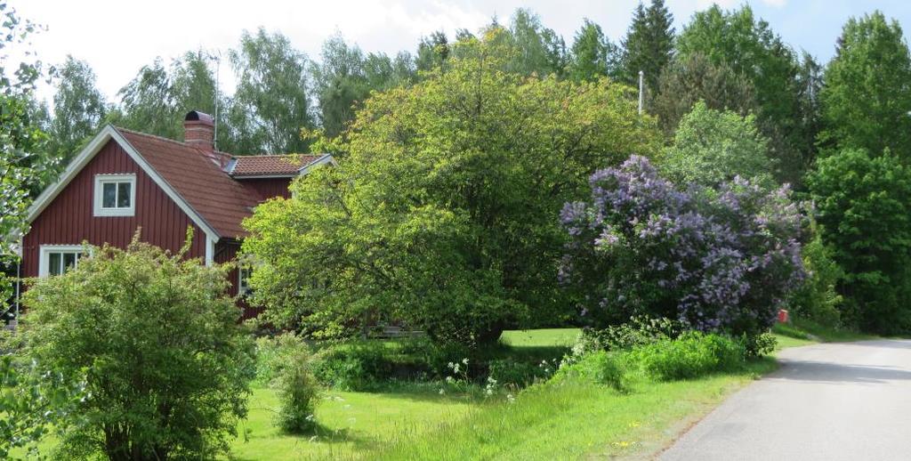 Rosendal, ett torpställe (1870,