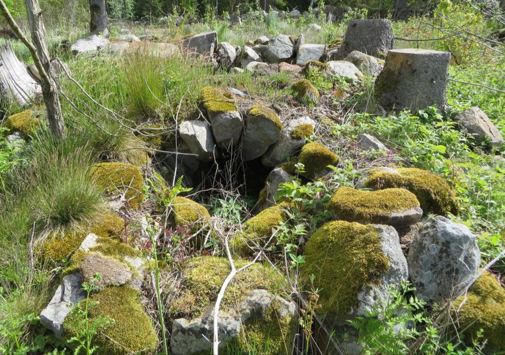 Den bygemensamma bråtugnen, med en bevarad ovanlig valvslagen