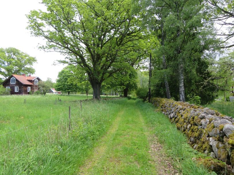 1800-talsväg som ansluter väster ut mot Kungsvägen.