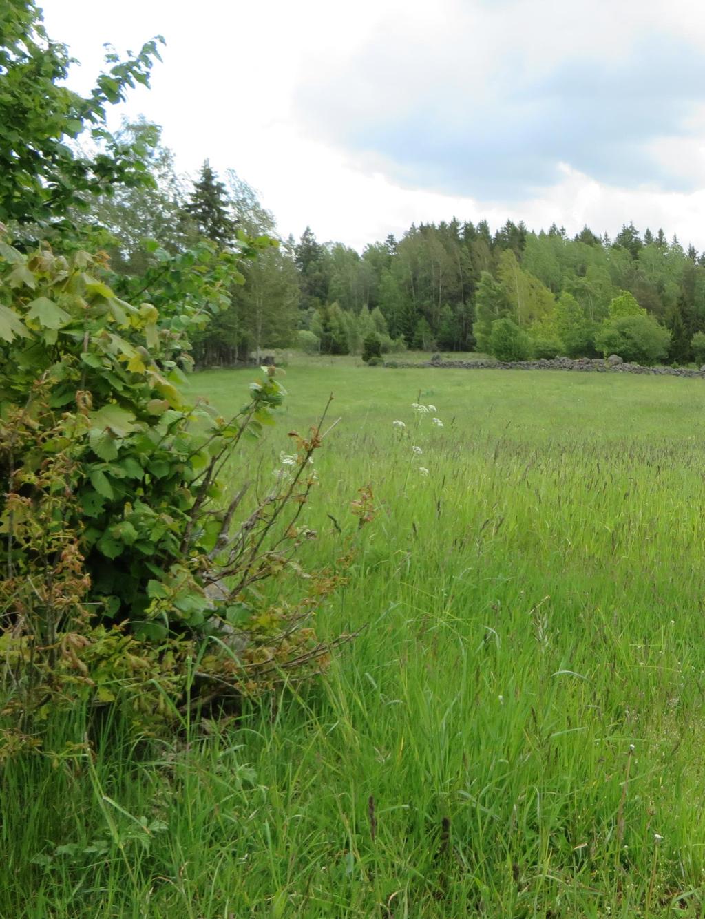 Vissefjärda