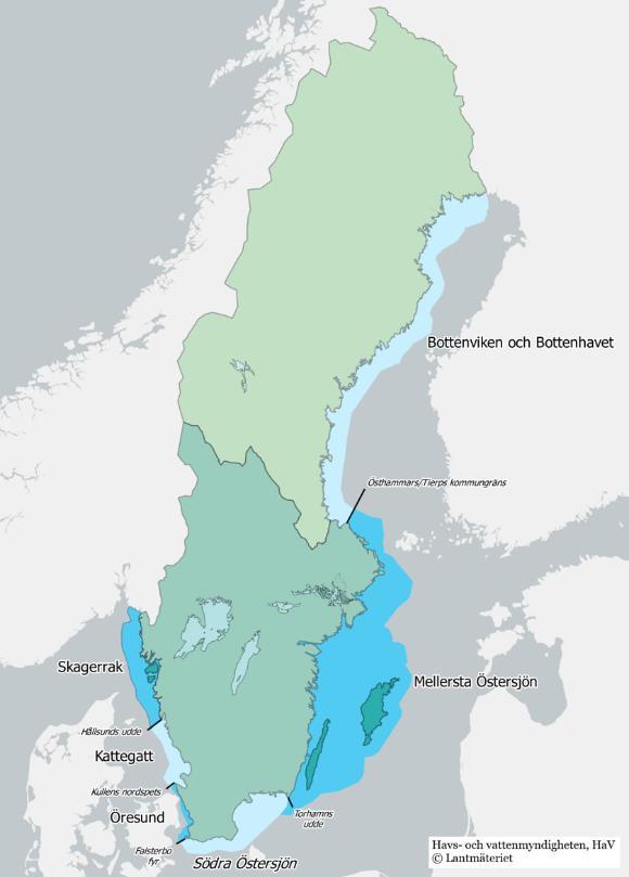 Havet och kusten Sveriges kust och hav kan delas in i 6 olika fiskeområden. Östersjön, vilken delas in i fyra olika områden, Bottenviken/Bottenhavet, Mellersta Östersjön, Södra Östersjön samt Öresund.