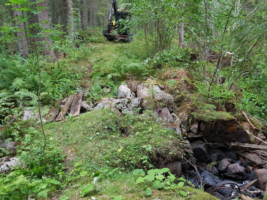 Här var fallhöjden stor och vi fördelade