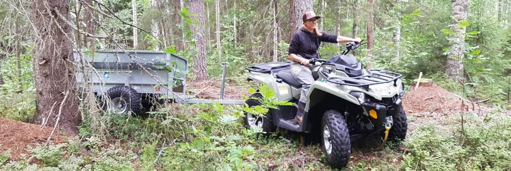 Åtgärdsarbetet och tidsramar planerades helt och hållet utifrån musselhanteringen.