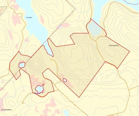 Länsstyrelsens bedömning Småträskområdet innehåller både brandpräglad tallskog och gammal, lövrik successionsskog efter brand.